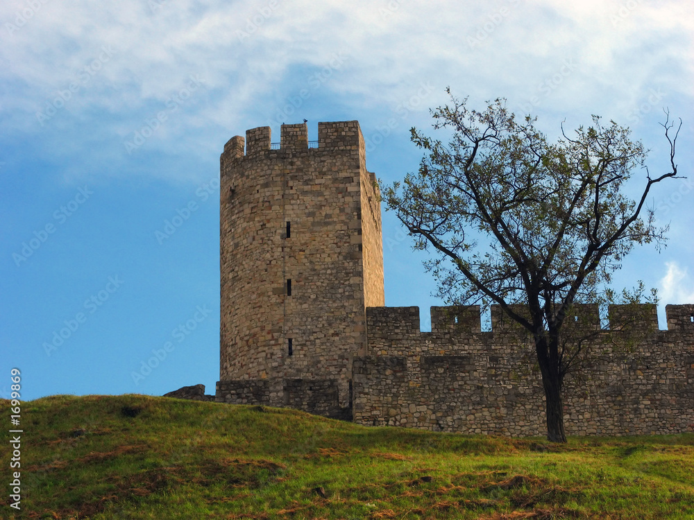 dizdar's tower