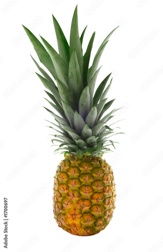 isolated pineapple isolated pineapple