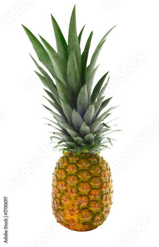 isolated pineapple