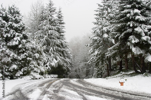 snow covered road