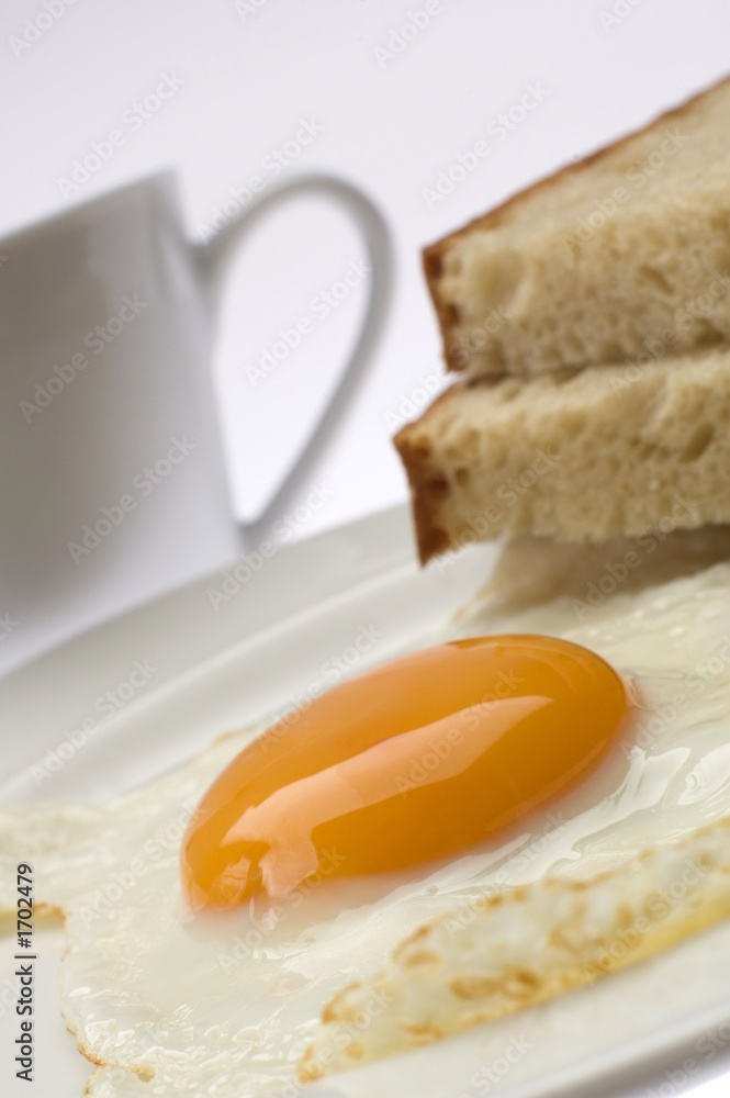 Fototapeta premium egg