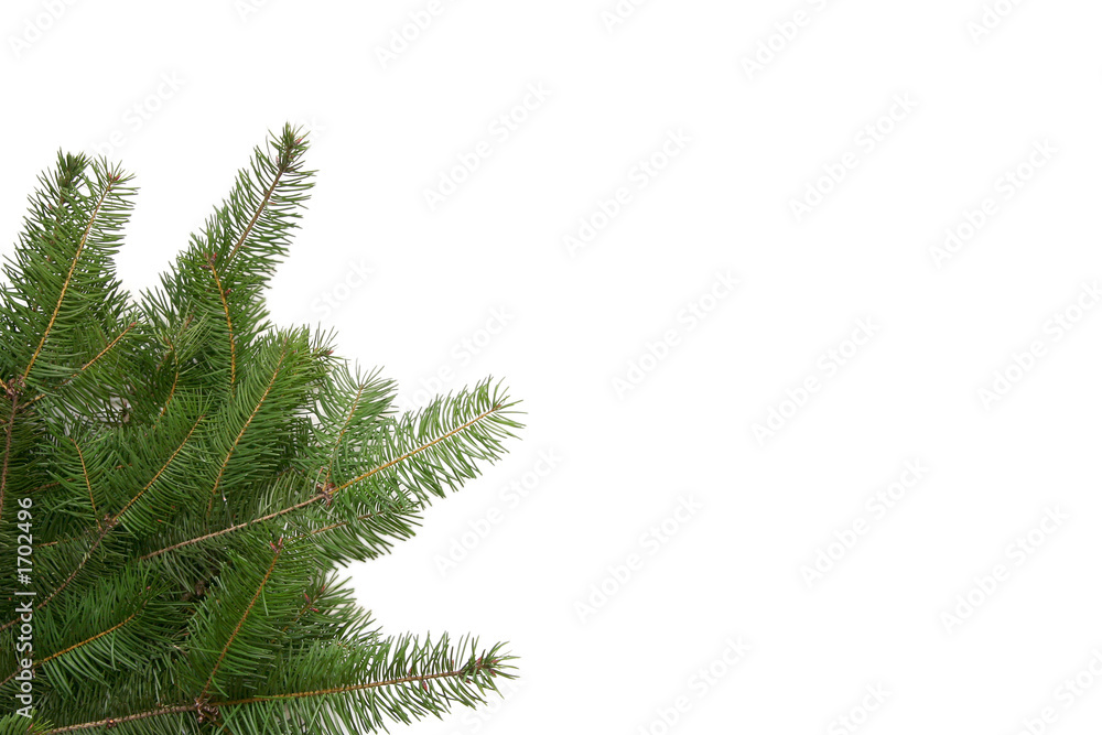 christmas tree frame christmas tree frame