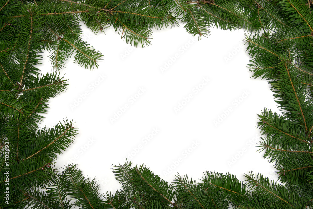christmas tree frame christmas tree frame
