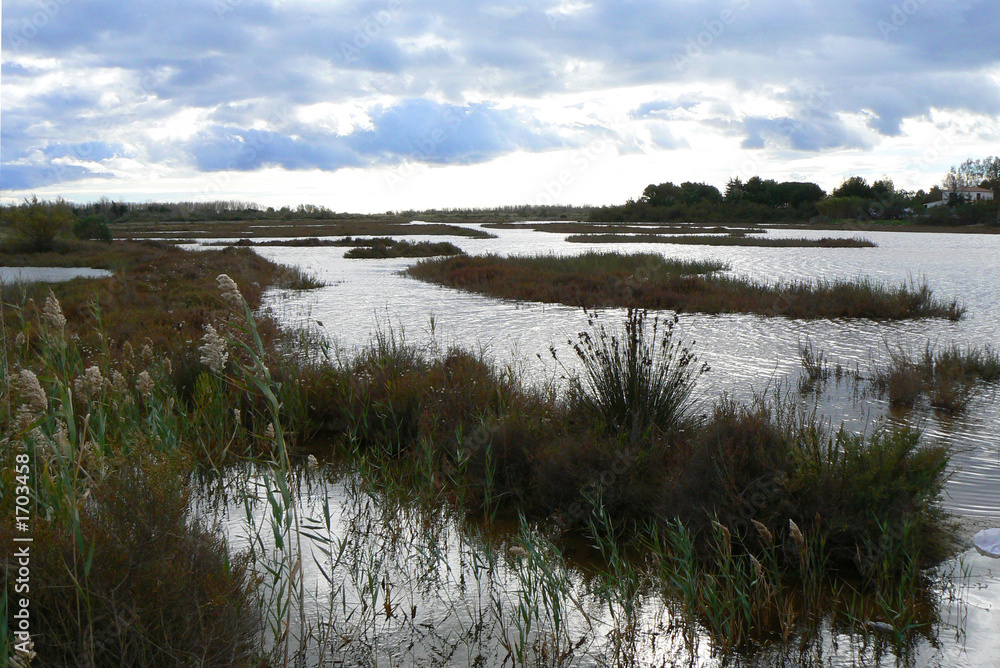 Fototapeta premium étang de thau 3