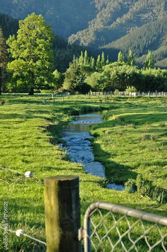 little stream near pelorus bridge.