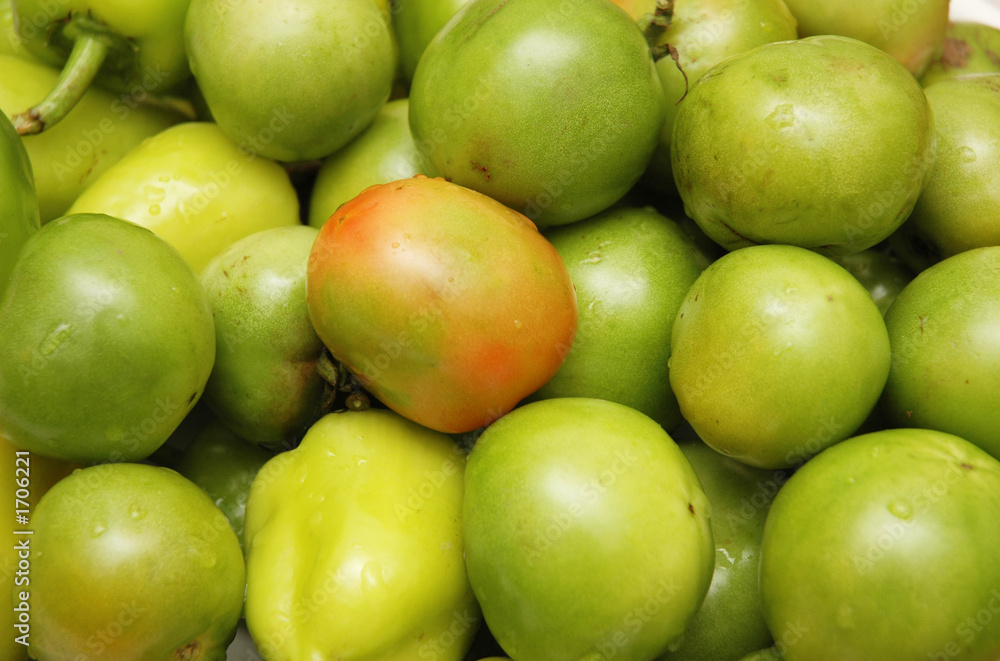 green tomatoes at the market stall green tomatoes at the market stall