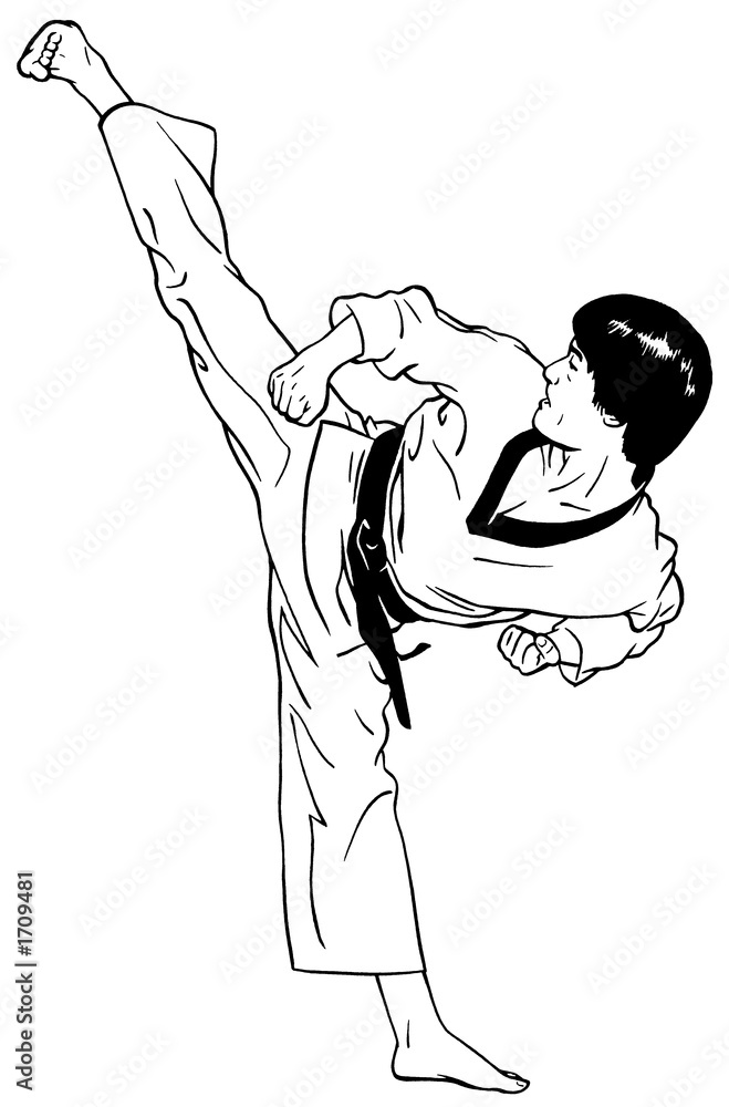 Taekwondo High Side Kick