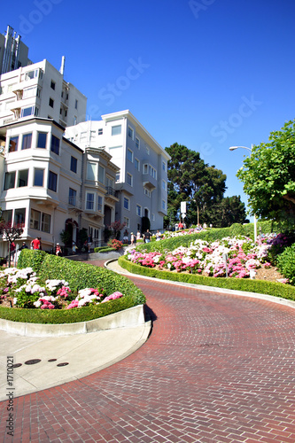 Photography lombard street, san francisco