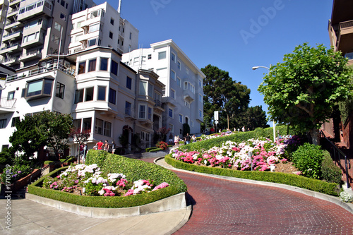 lombard street, san francisco photo