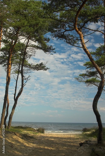 Fototapeta Naklejka Na Ścianę i Meble -  baltic sea