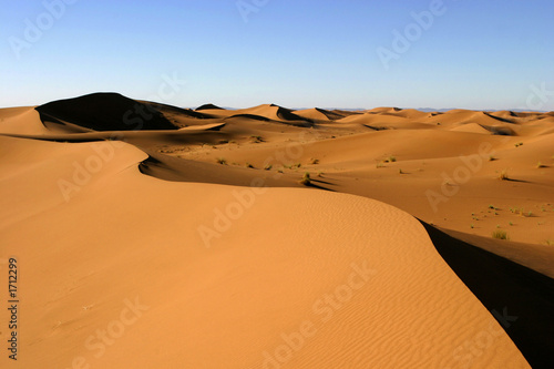 dune - desert