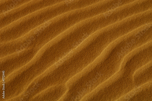oceana sand dunes © Laurin Rinder