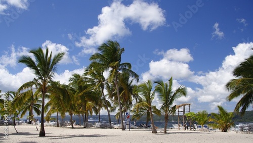caribbean beach © Digishooter