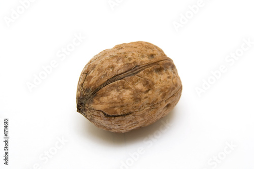 walnut close-up