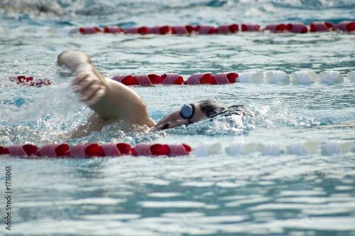 swim