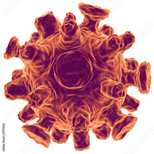 influenza virus