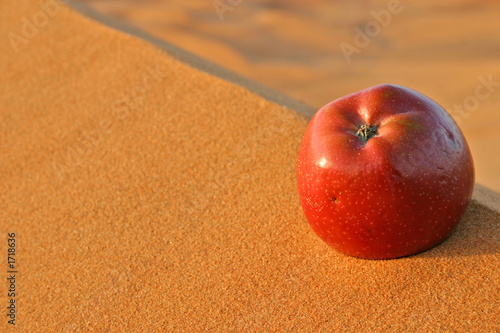  apple on the dune