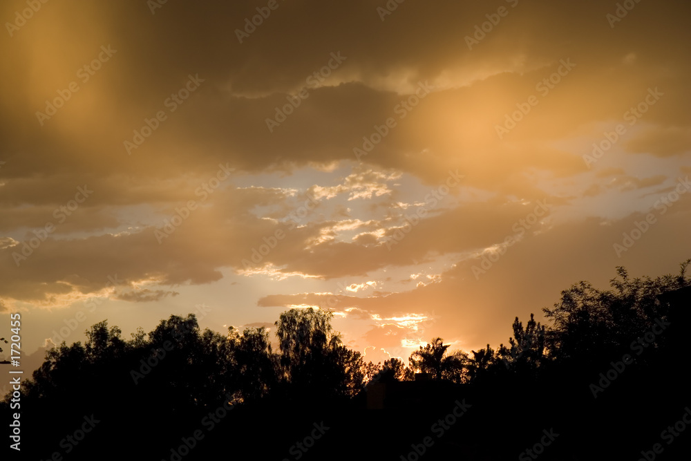 twilight in the park