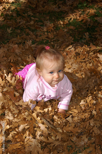 baby crawling in leaves