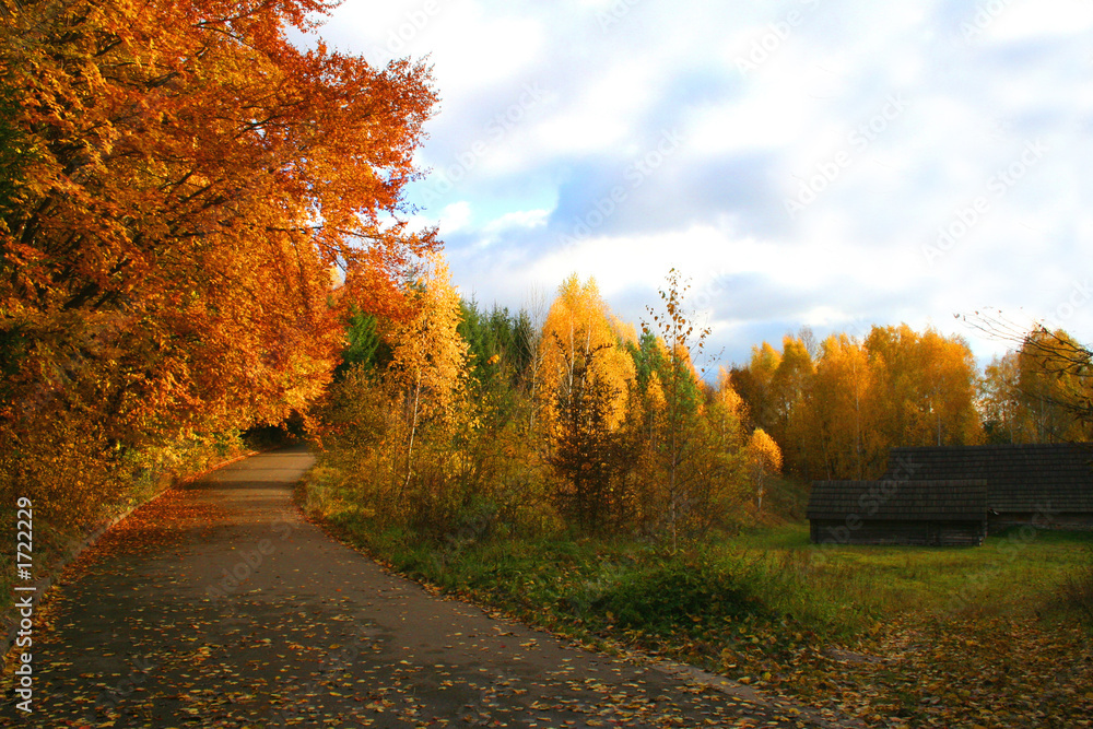 Naklejka premium road in autumn landscape
