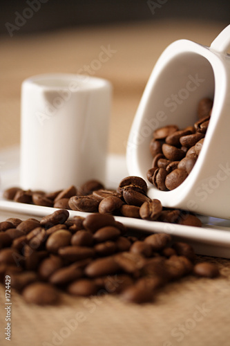 café_1486