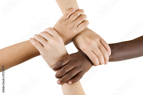 diversity series