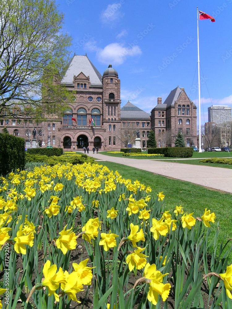ontario parliament with daffodils, vertical