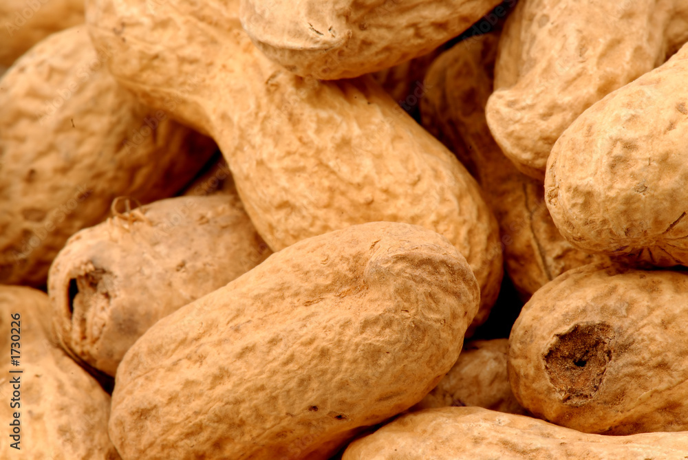 peanuts 1 peanuts 1