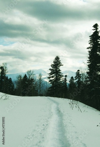 trailway in snow photo