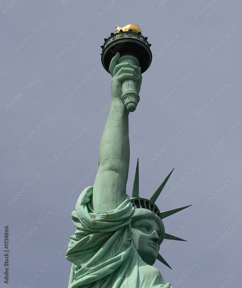 Fototapeta premium statue of liberty