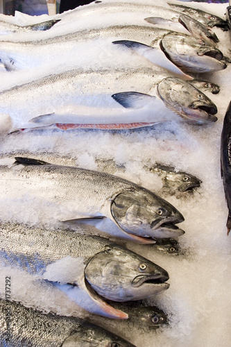 fish market