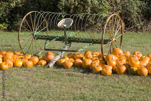 Φωτογραφία hay rake and pumpkins