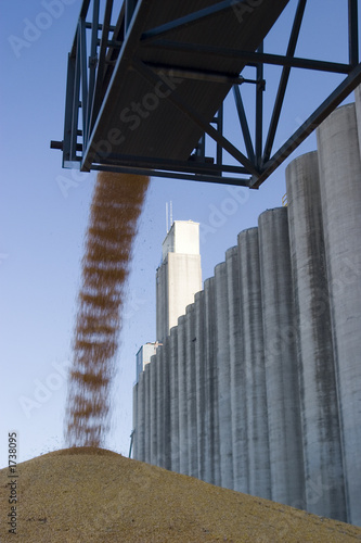 surplus corn at the silo