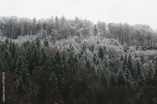 les premieres signes d'hiver
