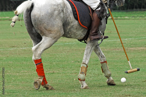 malaysia, kuala lumpur: equine polo tournament