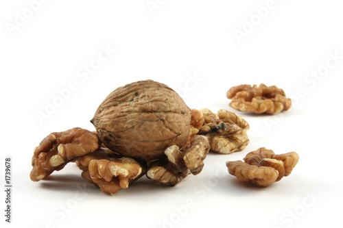 walnut