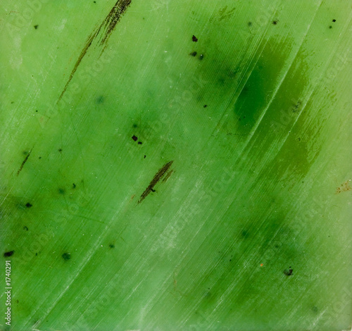 lustreless plate of nephrite