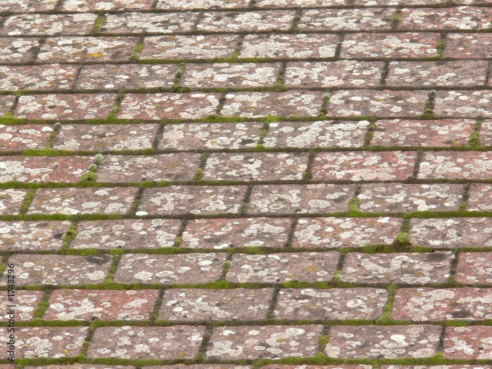 Naklejka premium roof tiles