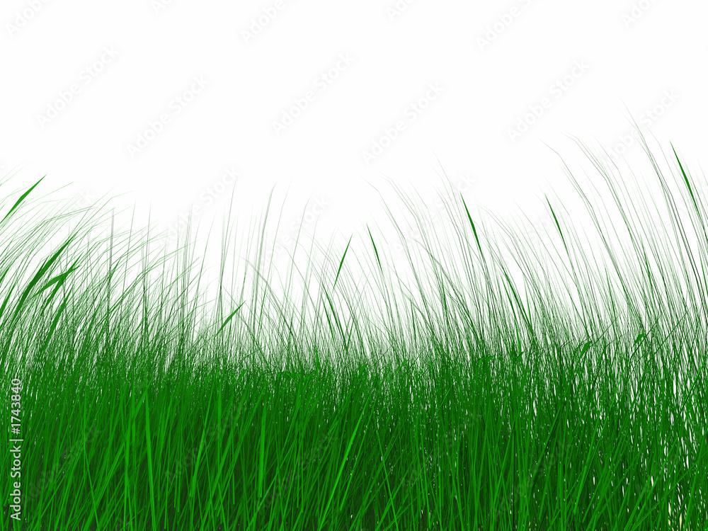 juicy green grass juicy green grass