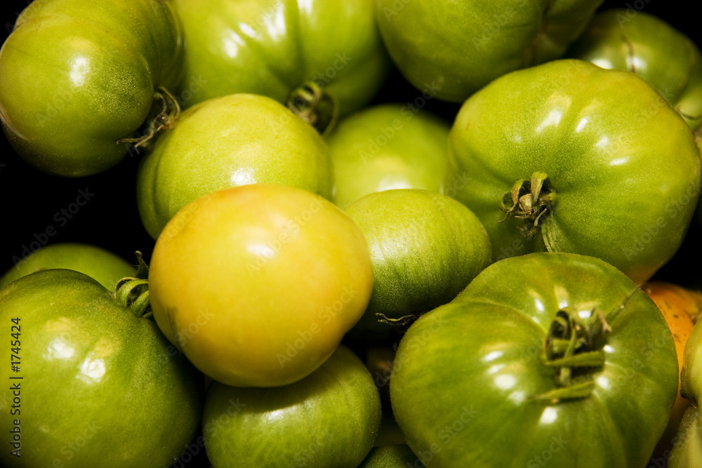 green tomatoes green tomatoes