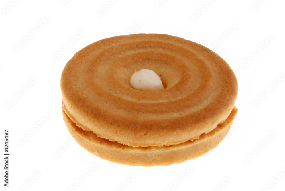 biscuit biscuit
