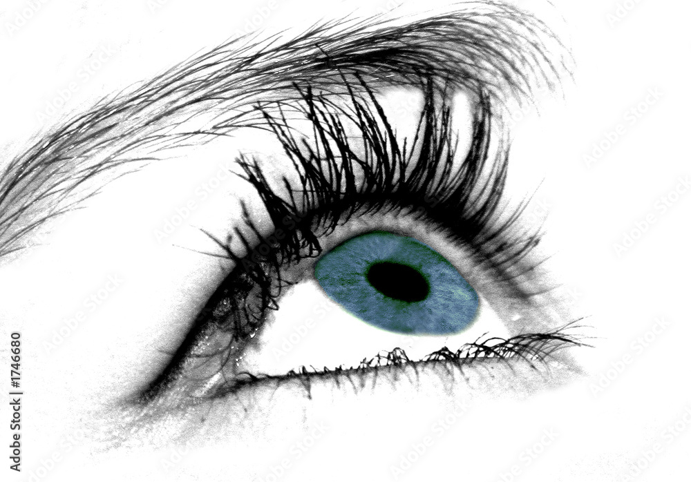 regard bleu innocent regard bleu innocent