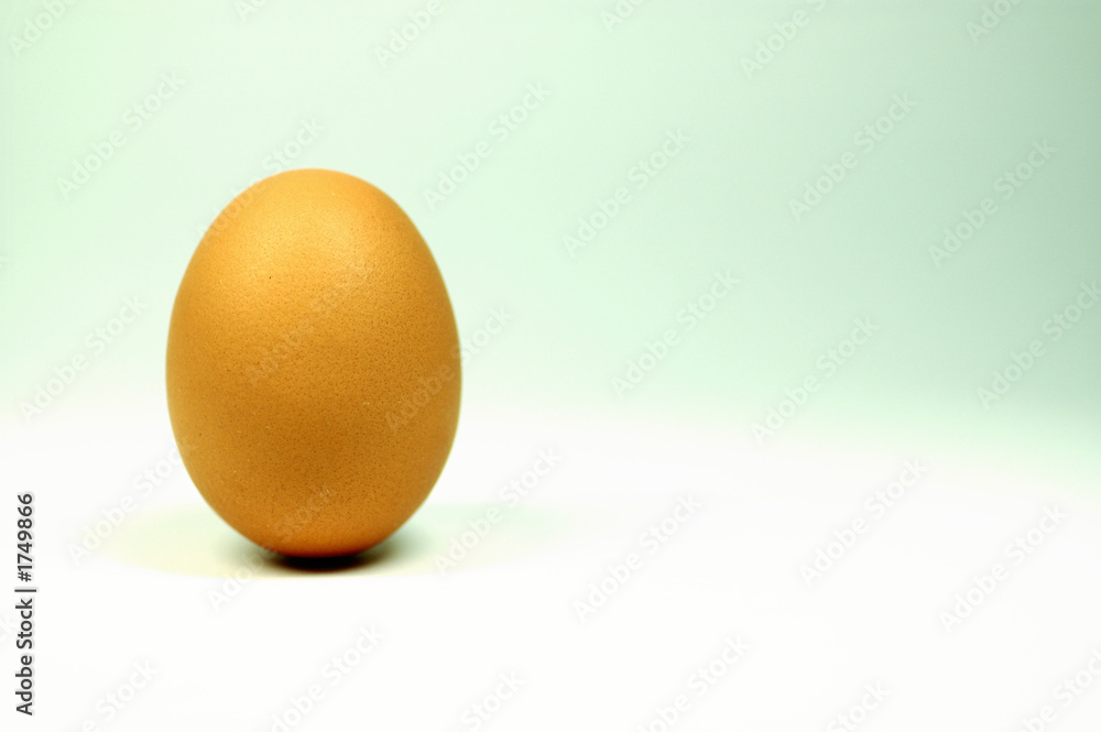 egg1 egg1