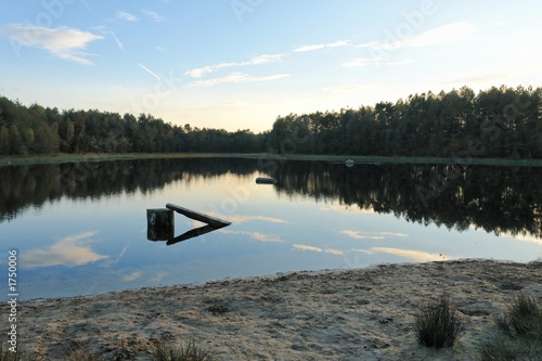 see mit baumstamm