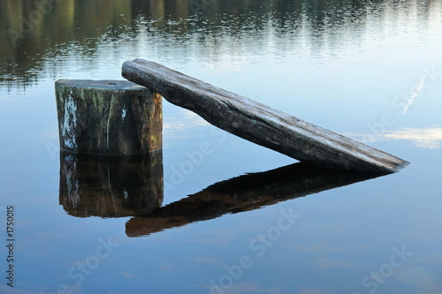 holz im see