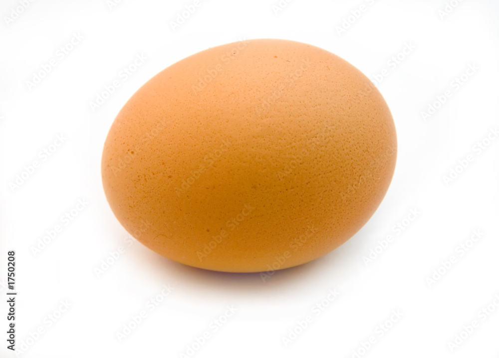 egg egg