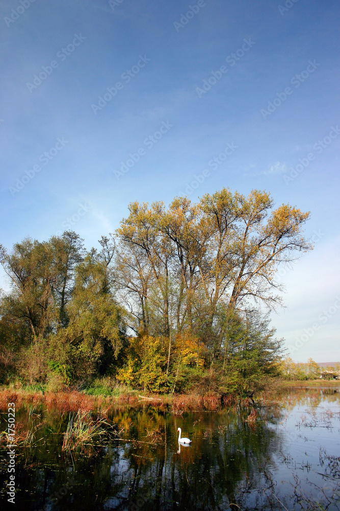 fall colors - autumn countryside - pond fall colors - autumn countryside - pond