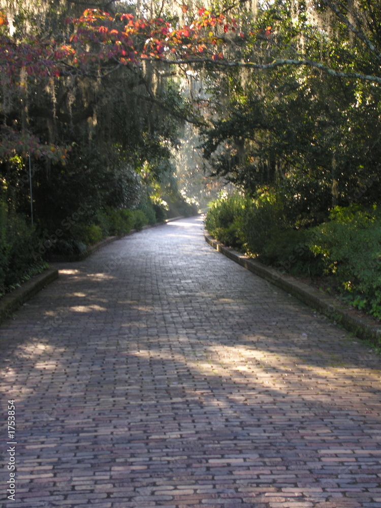 garden path garden path