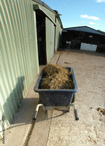hay collection