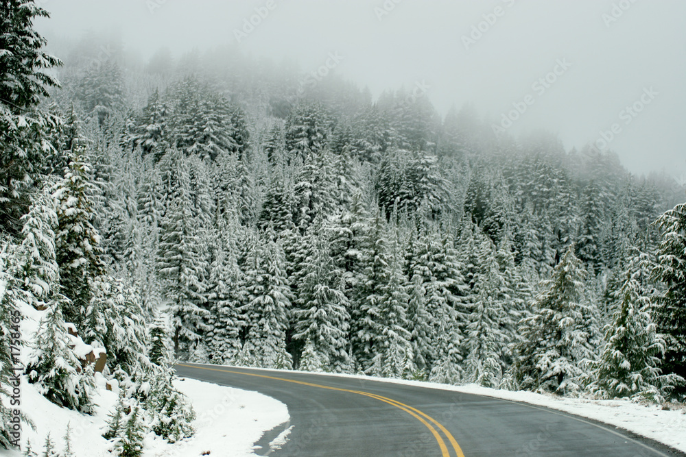 Obraz premium snow road 5